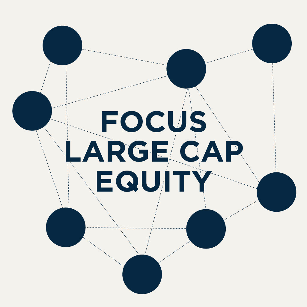 Focus Large Cap Equity