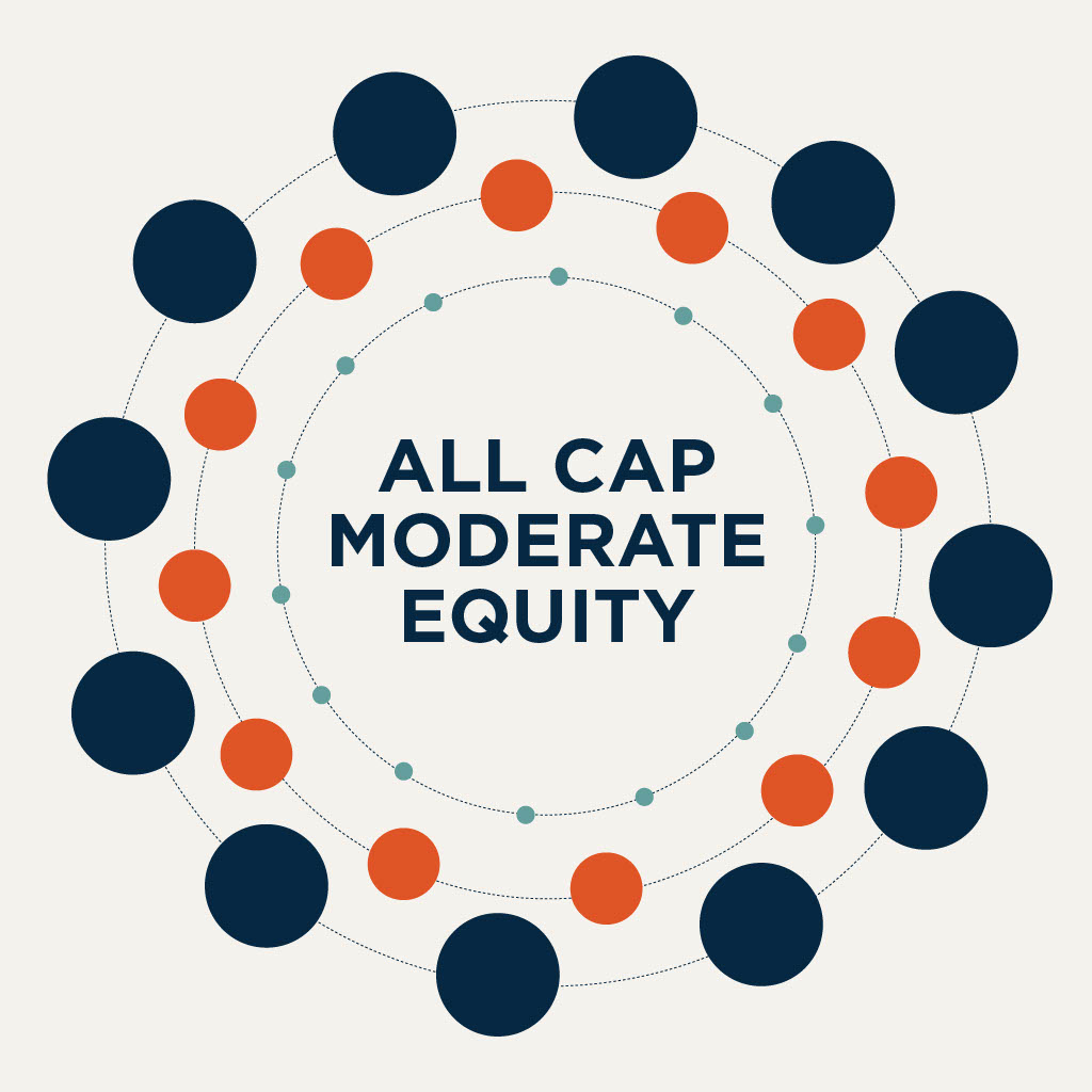 All Cap Moderate Equity