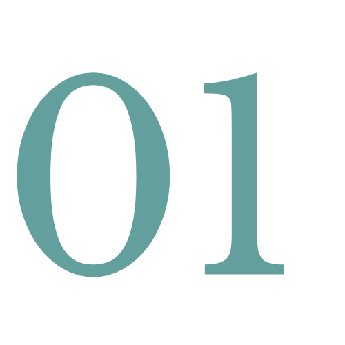 01 (2)